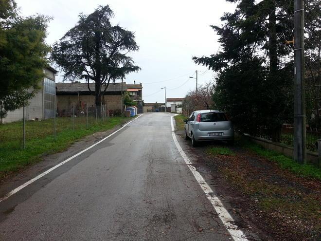 Investono un gatto e lo gettano vivo nel cassonetto 