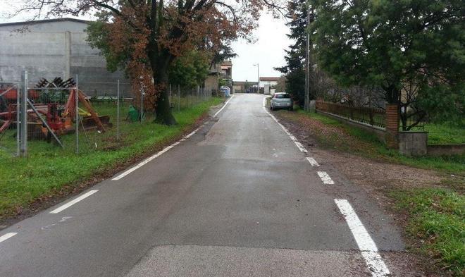 Investono una gatta e la gettano nel cassonetto
