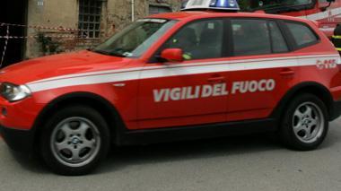 Cane incastrato in un cancello, salvato dai vigili del fuoco