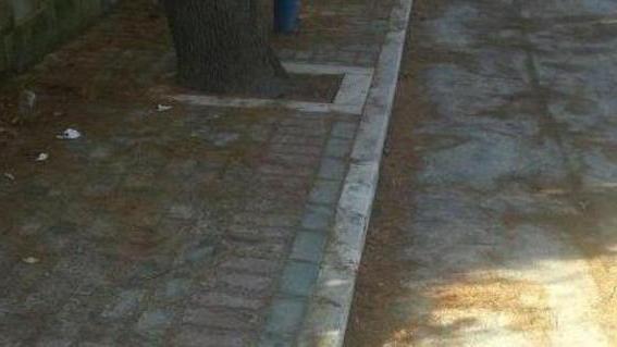 Pratoranieri abbandonata: «Non passa la spazzatrice»