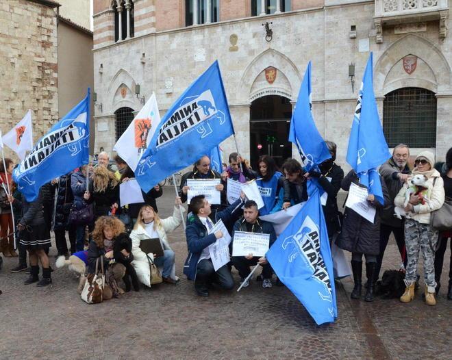 «Non uccidete i randagi», animalisti in piazza 