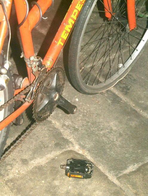 Danni all’albero di biciclette ad opera dei soliti vandali