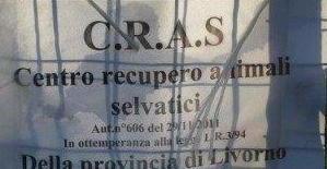 Dalla Provincia c’è lo stop al ricovero per gli animali