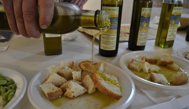 Via al concorso per premiare l’olio più buono
