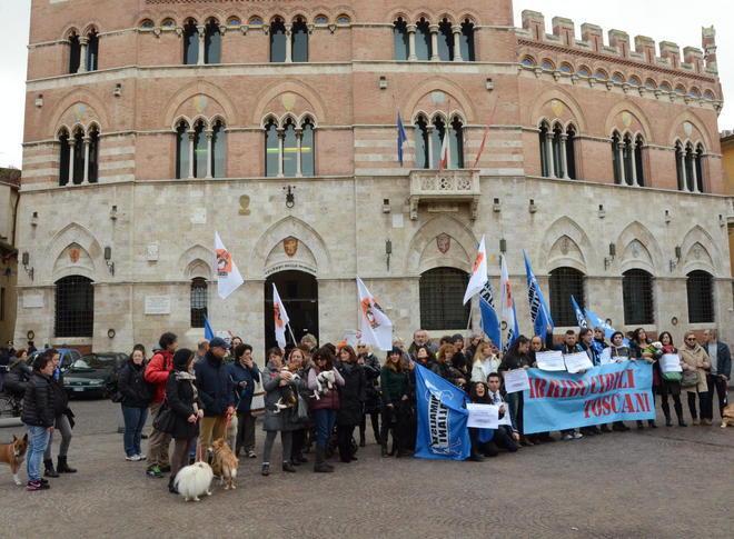 Randagi, manifestazione in piazza 
