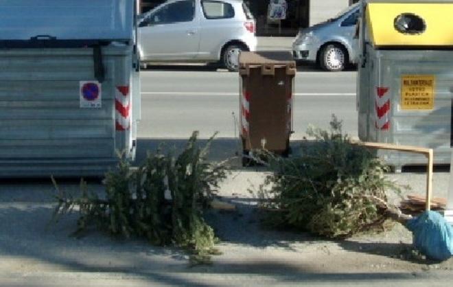 Albero di Natale, vietato buttarlo per strada 