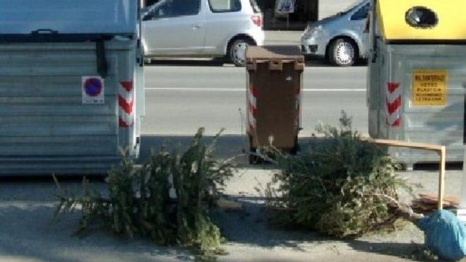 Albero di Natale, vietato buttarlo per strada