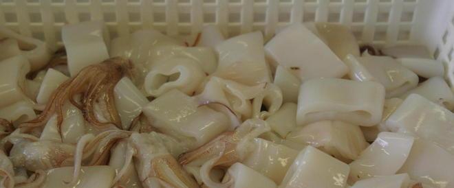 Asl: occhio al parassita se mangiate pesci e molluschi non cotti 