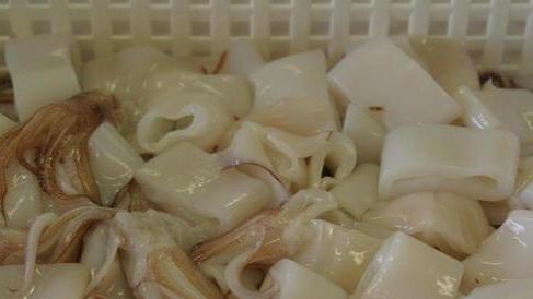 Asl: occhio al parassita se mangiate pesci e molluschi non cotti