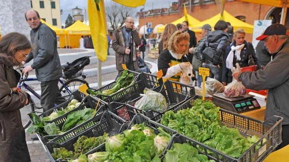 Punti vendita condivisi da imprese consorziate