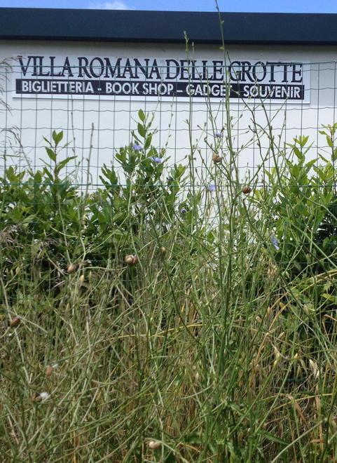 Villa Romana in gestione per scampare al degrado 