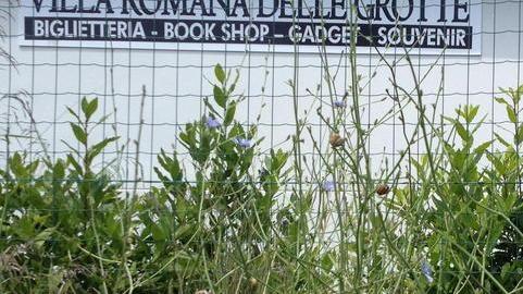 Villa Romana in gestione per scampare al degrado