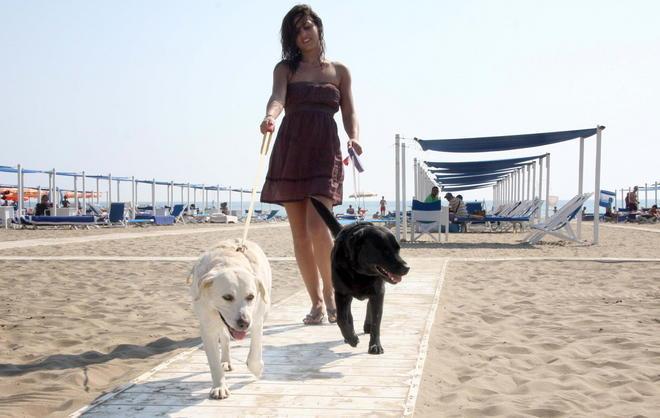 Sindaco aggredito da un cane: via alle multe 