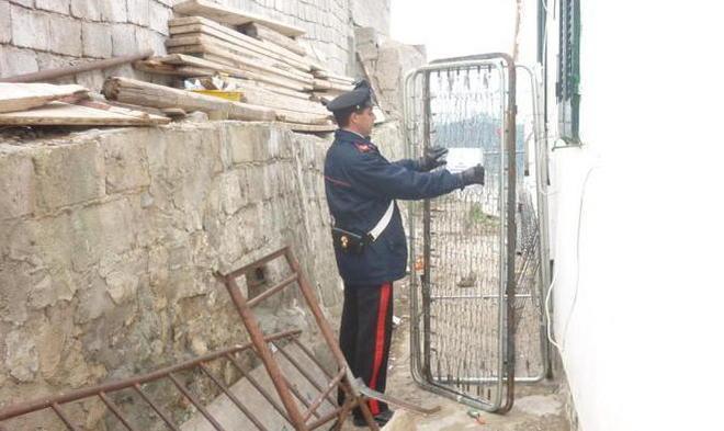 Sequestrati dai carabinieri quattro cani denutriti e sofferenti 