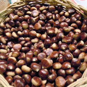 Minestra di ceci e castagne da presentare dopo avervi passato un filo d’olio