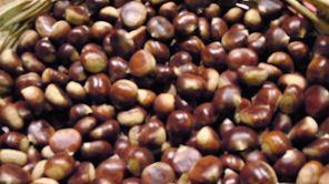 Minestra di ceci e castagne da presentare dopo avervi passato un filo d’olio