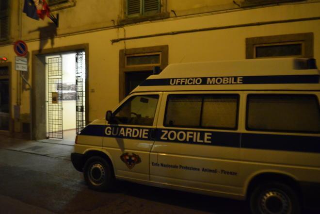 Aveva 40 gatti in casa interviene l’Enpa con tute e maschere 