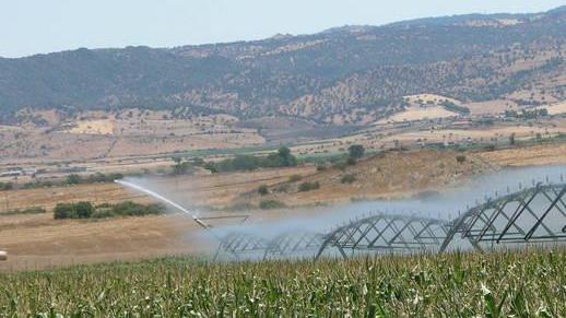 Lavori alla diga, campagne da lunedì senza irrigazione 