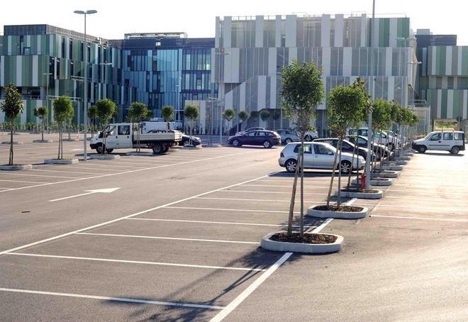Ge.Sat assume la figlia dell’assessore Nuti 