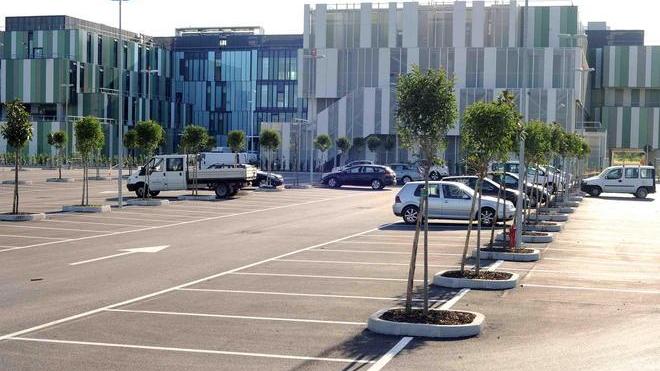 Ge.Sat assume la figlia dell’assessore Nuti