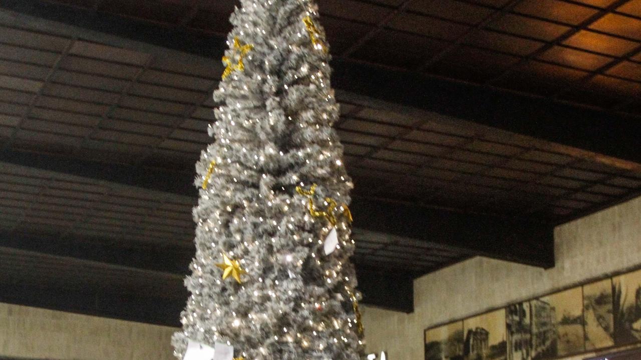 Natale è passato ma non il sogno: lavoro, figli e amore