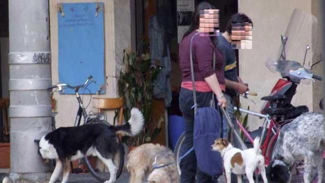 Multe salate per chi non raccoglie i bisogni dei cani