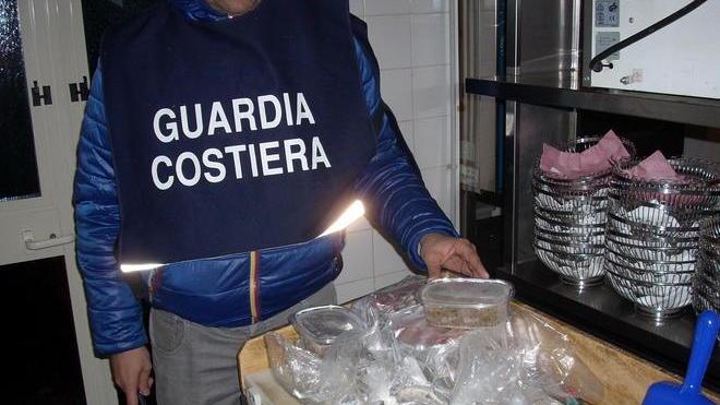 Sequestrati 5 quintali di pesce denunciato un supermercato