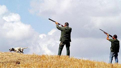 Pizzicato con un’arma e un faro per la caccia notturna