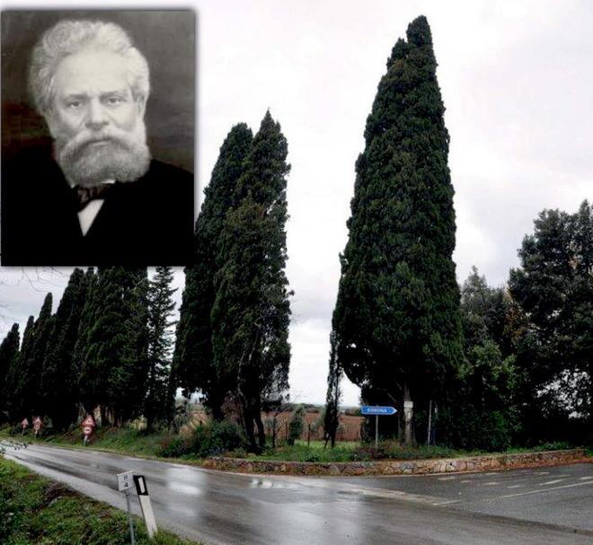 Il Viale dei cipressi è salvo, finiti i lavori 