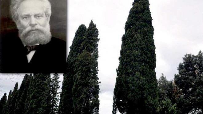 Il Viale dei cipressi è salvo, finiti i lavori
