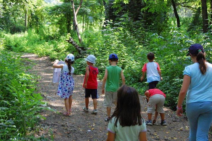 A spasso nella natura: il turismo diventa “verde” 
