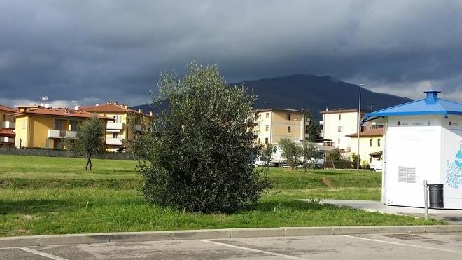 Un giardino per bambini disabili