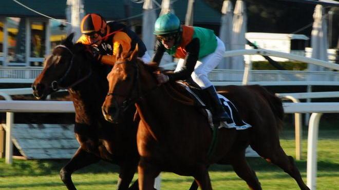 San Rossore, in pista anche i saltatori