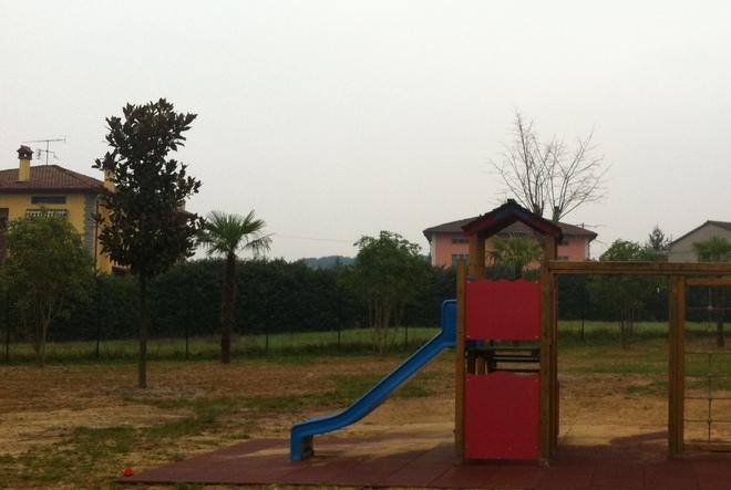 Cinquanta piante nel giardino dell’asilo