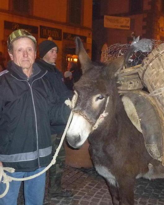 Benedizione degli animali e festa in piazza