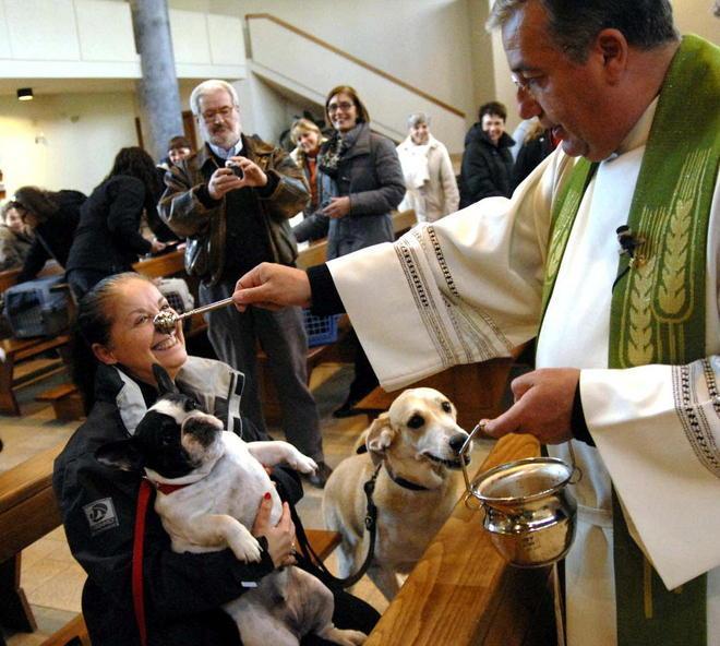 Banditella e Madonna, oggi la benedizione dei nostri cari animali