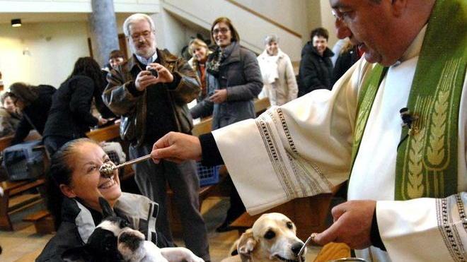 Banditella e Madonna, oggi la benedizione dei nostri cari animali
