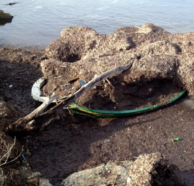 I relitti in mezzo alla posidonia