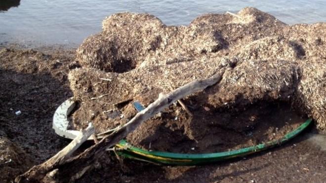 I relitti in mezzo alla posidonia