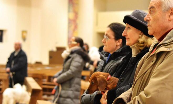 E a Banditella gli animali in chiesa