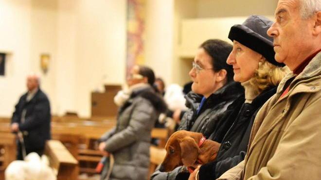 E a Banditella gli animali in chiesa