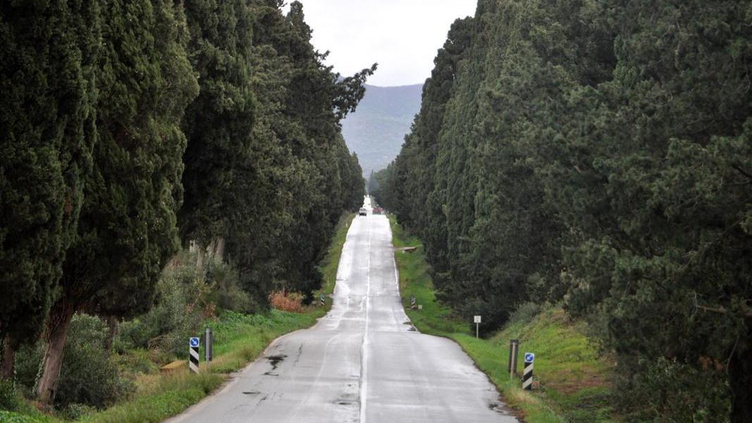 Banca verde, salvati 608 alberi