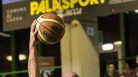 BASKET»DNA SILVER