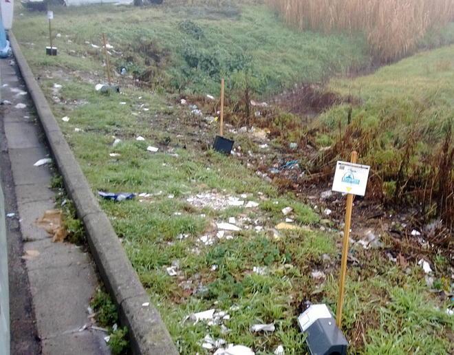 Degrado in via Amendola rifiuti triturati con l’erba