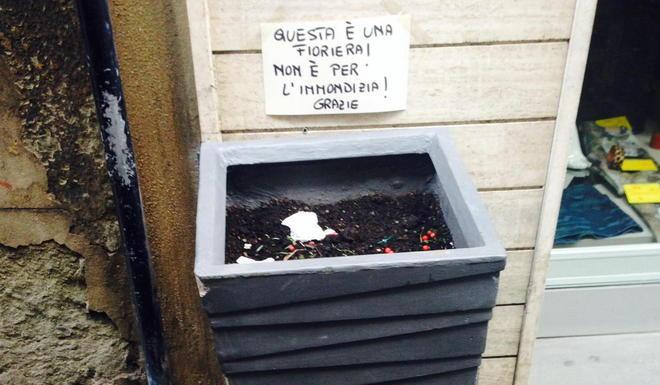 Quella fioriera usata come un cestino
