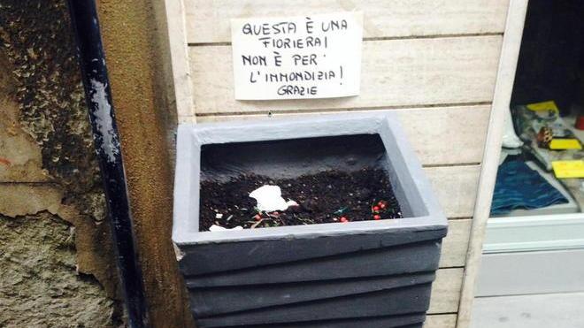 Quella fioriera usata come un cestino