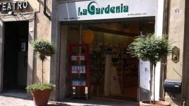Carabiniere libero dal servizio blocca ladro
