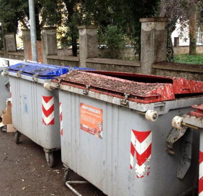 Montagne di guano su cassonetti e marciapiedi 