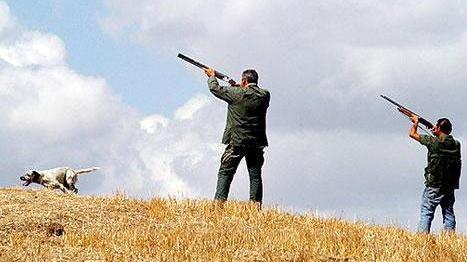 Doppiette in armonia Confederazione unica per essere più forti