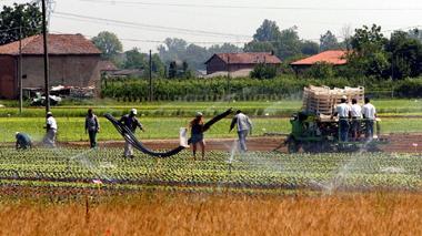 Disoccupazione agricola: dove compilare le domande